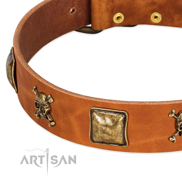 Fashionable full grain leather dog collar with rust resistant adornments