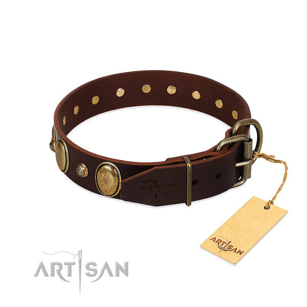 Strong fittings on full grain natural leather collar for fancy walking your canine