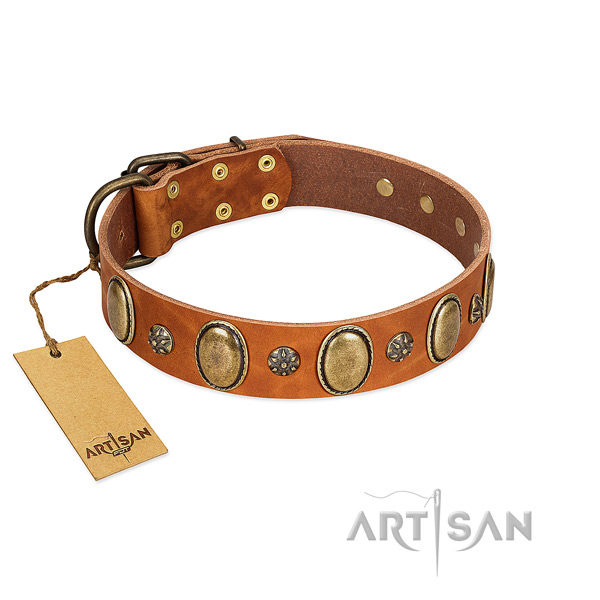 Everyday walking reliable full grain genuine leather dog collar with adornments