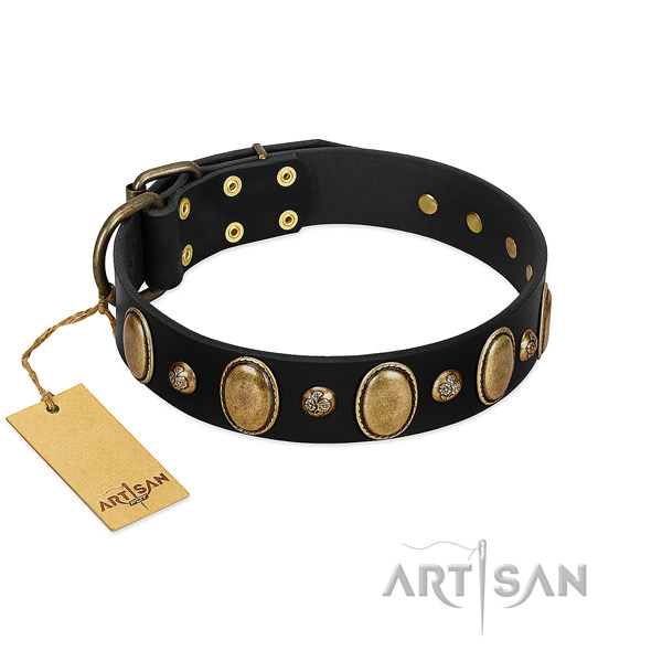 Full grain leather dog collar of quality material with unique embellishments