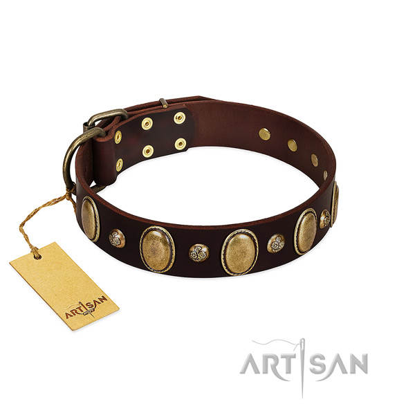 Leather dog collar of high quality material with unique adornments