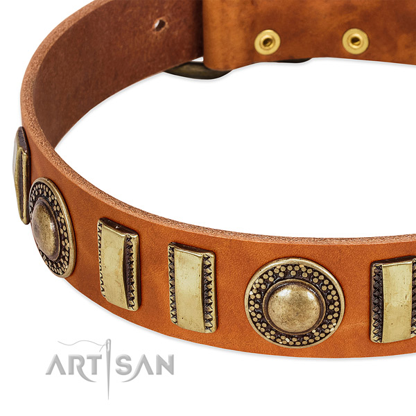 Reliable genuine leather dog collar with rust-proof D-ring