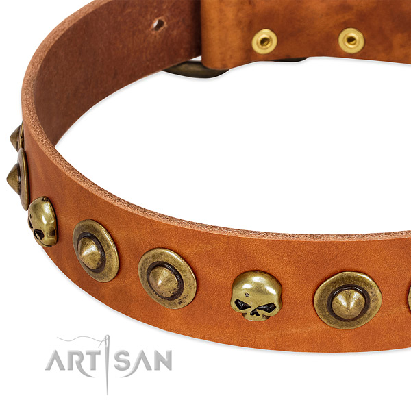 Unique studs on full grain genuine leather collar for your canine