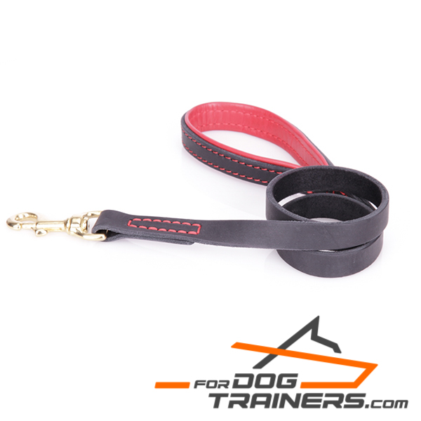 Leather Dog Leash with Padded Handle