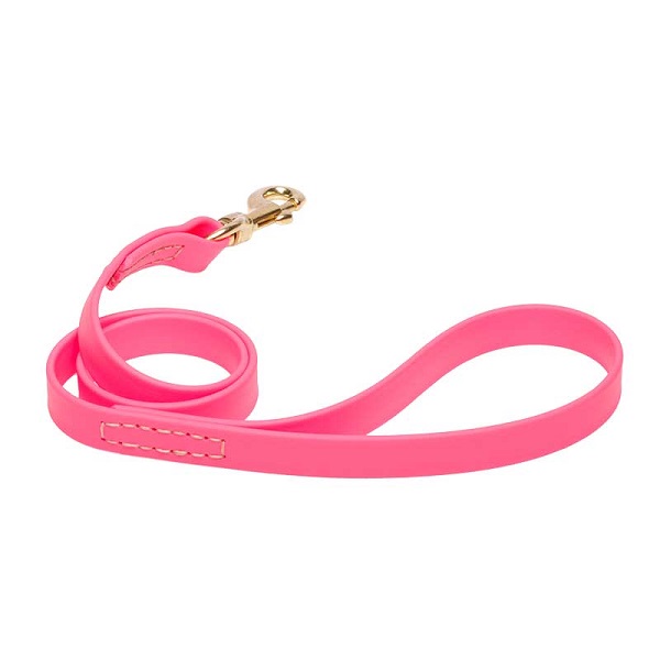 Biothane Dog Leash for Walking