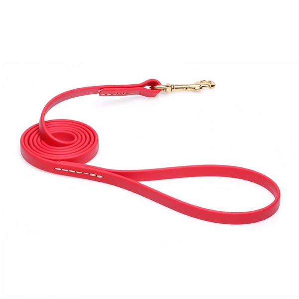 Biothane Dog Leash for Walking