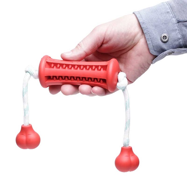 Dental Dog Toy for Training