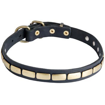 Walking Leather Collar with Brass Decoration for Dogue de Bordeaux