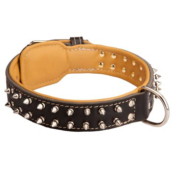 Dogue de Bordeaux Collar Leather Spiked Padded