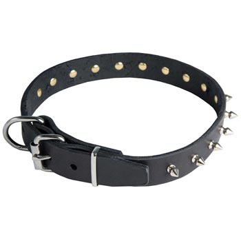 Dogue de Bordeaux Leather Collar with Spikes