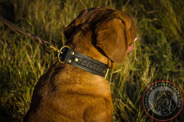 Braided Dogue de Bordeaux leather collar for comfortable walks