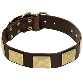 Leather Dogue de Bordeaux Collar with Fashionable Studs