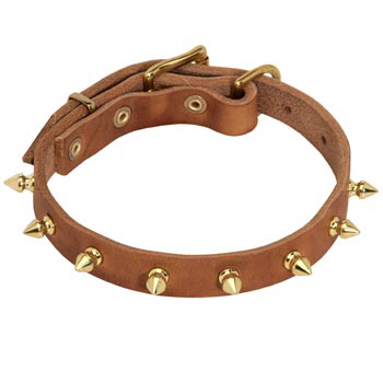 Designer Leather Collar for Dogue de Bordeaux