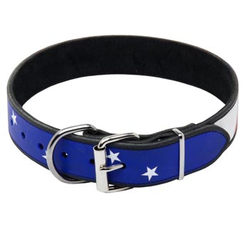 Dogue de Bordeaux Leather Collar With American  Flag Painting