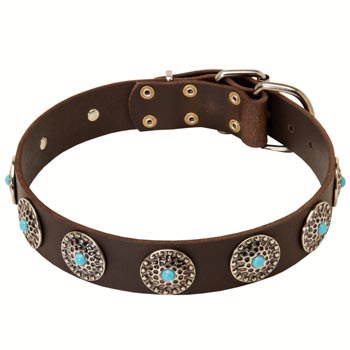 Leather Dogue de Bordeaux Collar