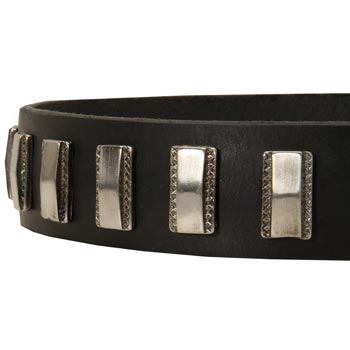 Stylish Leather Collar with Vintage Plates for Dogue de Bordeaux