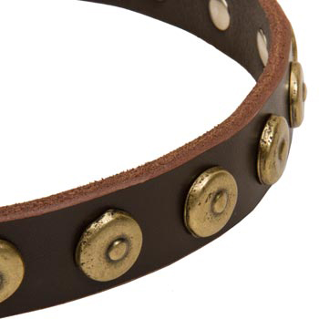 Dogue de Bordeaux Collar with Stylish Circles