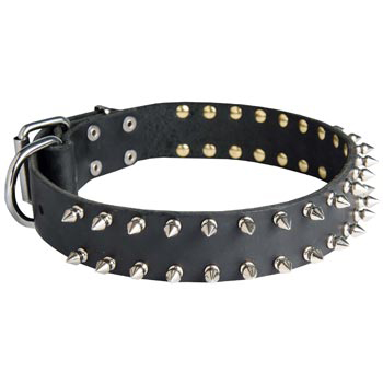 Spiked Leather Collar for Dogue de Bordeaux
