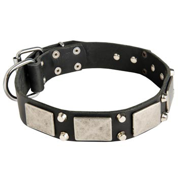 Studded Leather Dogue de Bordeaux Collar