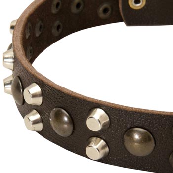 Leather Dogue de Bordeaux Collar with Hand Set Studs