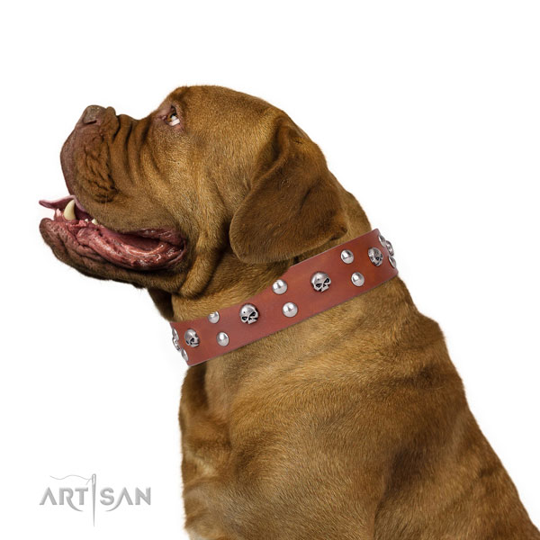 Comfortable wearing decorated dog collar of top notch natural leather