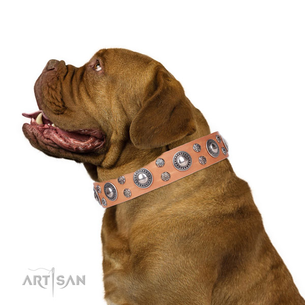 Everyday use studded dog collar of fine quality genuine leather