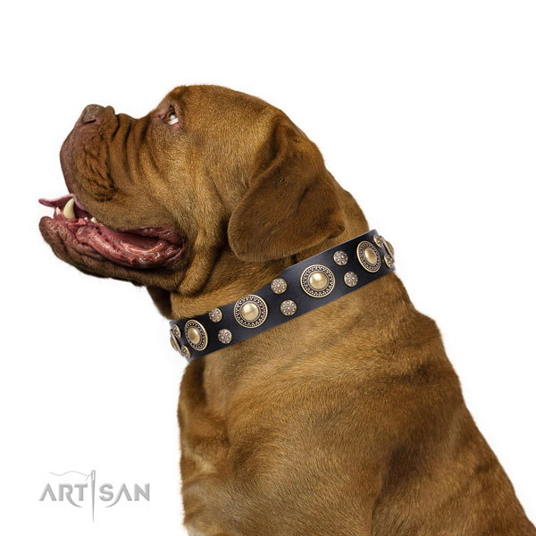 Everyday walking adorned dog collar of fine quality natural leather