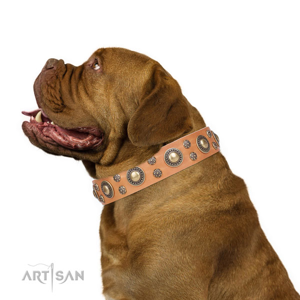 Everyday walking studded dog collar of best quality material