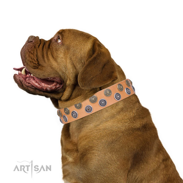 Easy wearing embellished dog collar of quality material