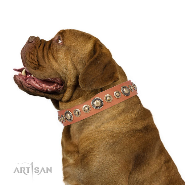 Reliable buckle and D-ring on natural leather dog collar for stylish walking