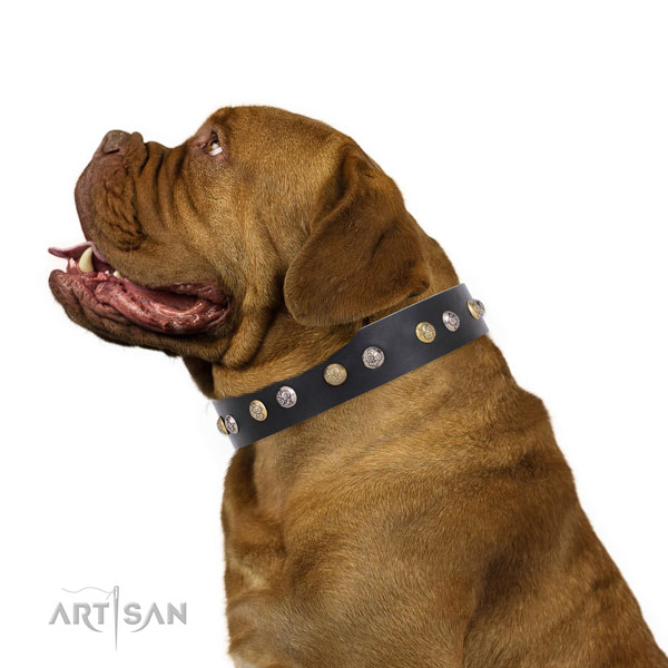 Full grain leather dog collar with rust-proof buckle and D-ring for comfortable wearing