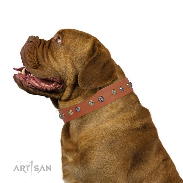 Genuine leather dog collar with durable buckle and D-ring for everyday walking