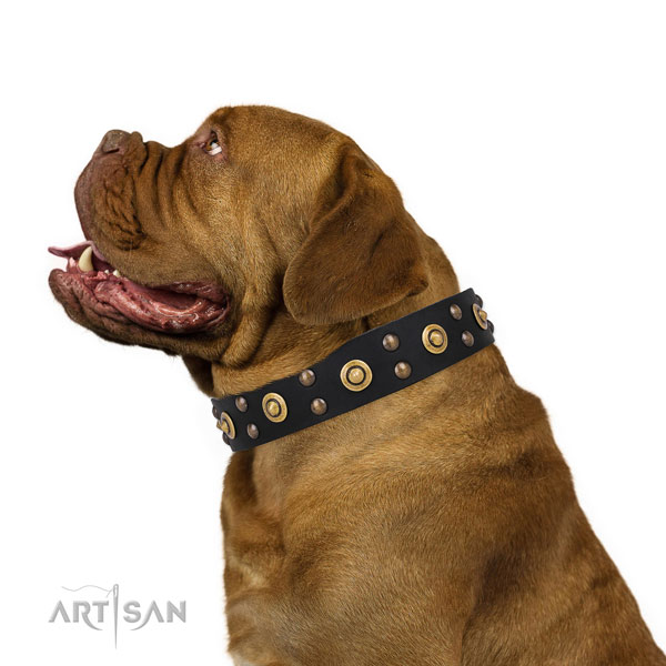 Walking dog collar with stunning studs