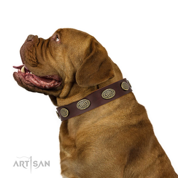 Designer decorations on comfy wearing leather dog collar