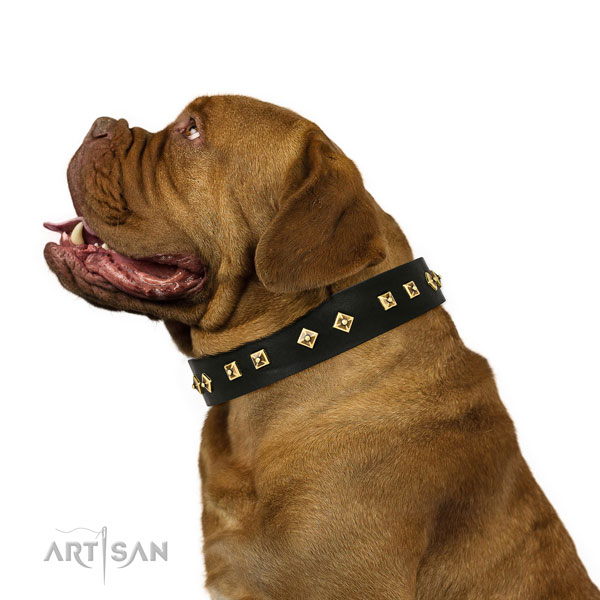 Unusual studs on comfortable wearing genuine leather dog collar