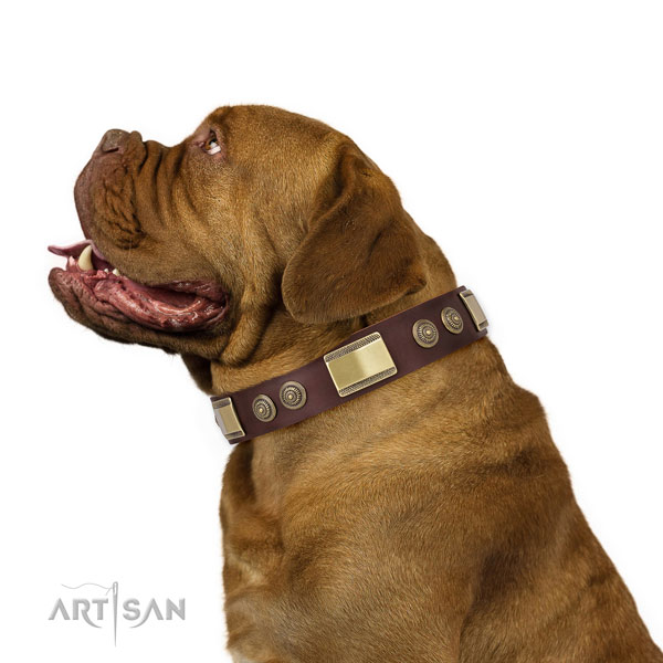 Awesome decorations on stylish walking dog collar