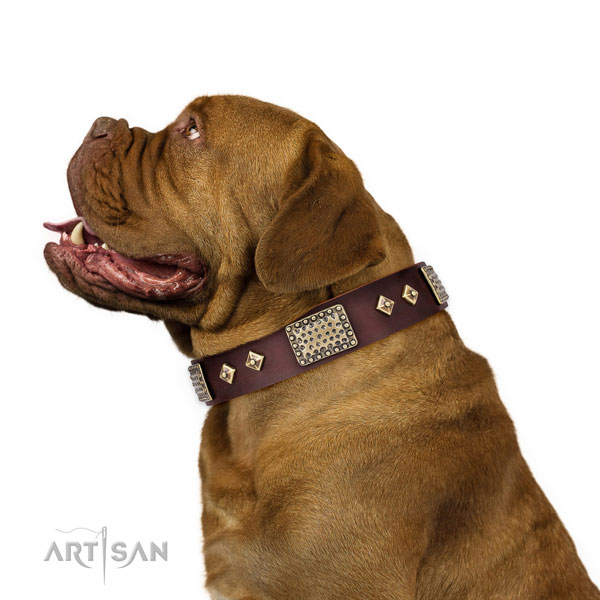 Strong everyday walking dog collar of natural leather