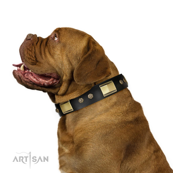 Basic training dog collar of leather with stylish embellishments