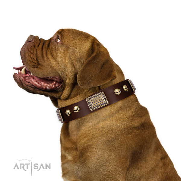 Durable fittings on leather dog collar for easy wearing