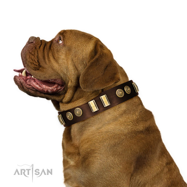 Strong fittings on natural leather dog collar for handy use