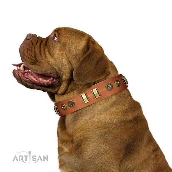 Rust-proof buckle on natural leather dog collar for walking