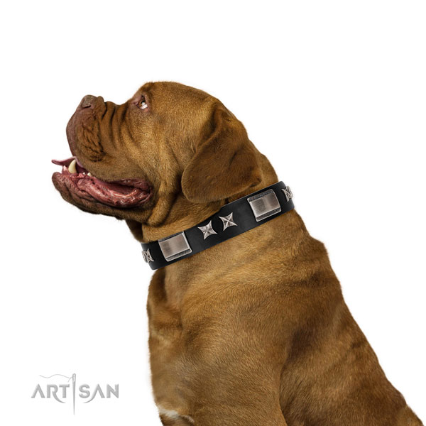 Everyday use high quality genuine leather dog collar with embellishments