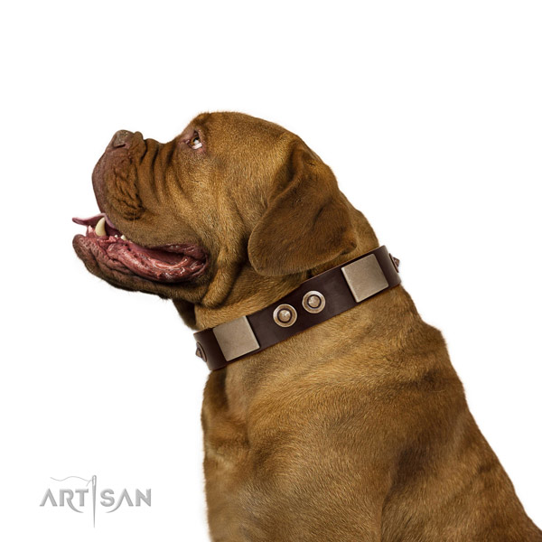 Reliable buckle on full grain leather dog collar for comfortable wearing
