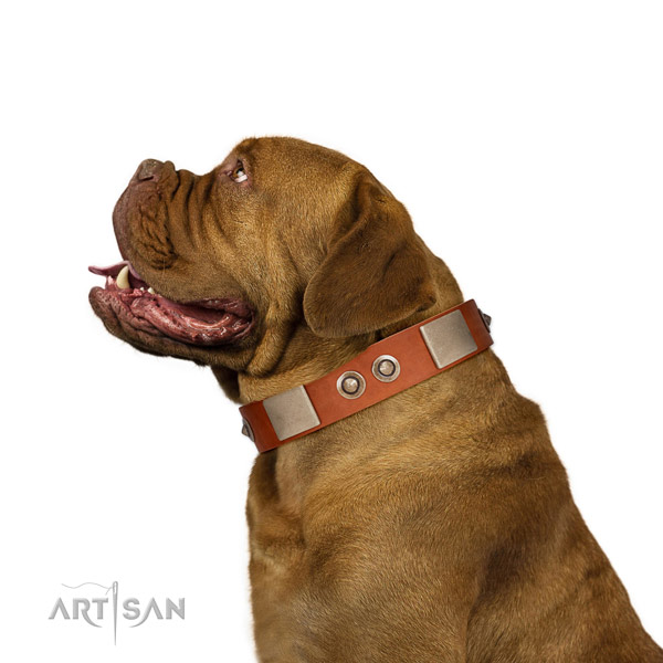 Rust resistant traditional buckle on genuine leather dog collar for stylish walking