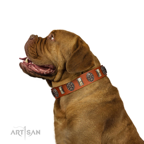 Full grain genuine leather dog collar with trendy embellishments