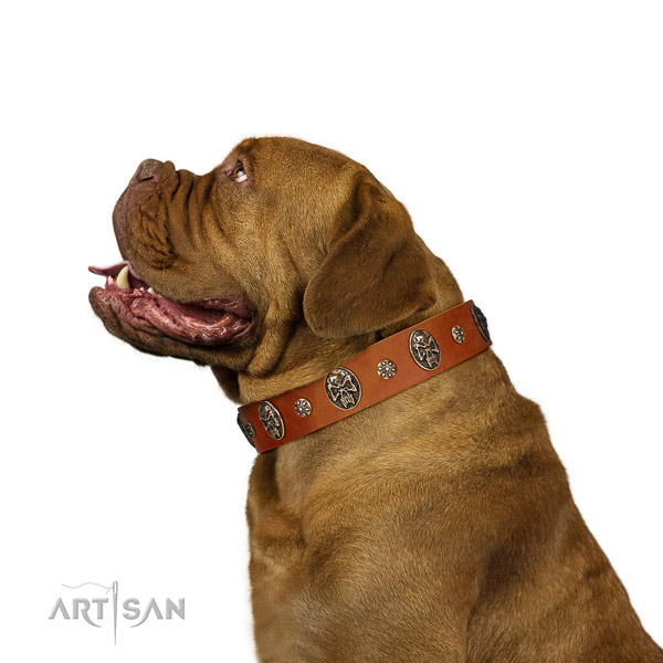 Basic training dog collar of genuine leather with trendy adornments