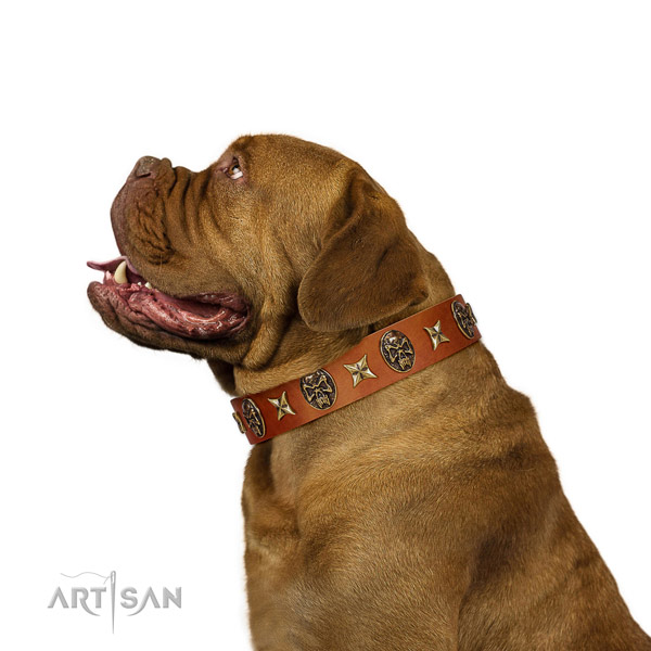 Adorned leather dog collar with studs