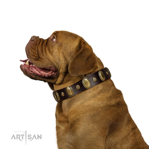 Handmade natural leather dog collar with durable hardware