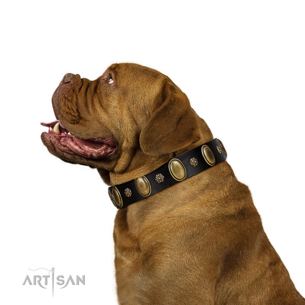Everyday walking high quality full grain genuine leather dog collar with decorations