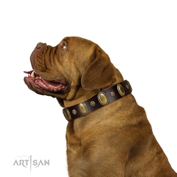 Stylish walking flexible leather dog collar with studs